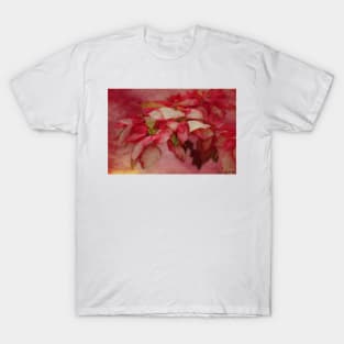 Peppermint Candy Colored Poinsettias Digital Art T-Shirt